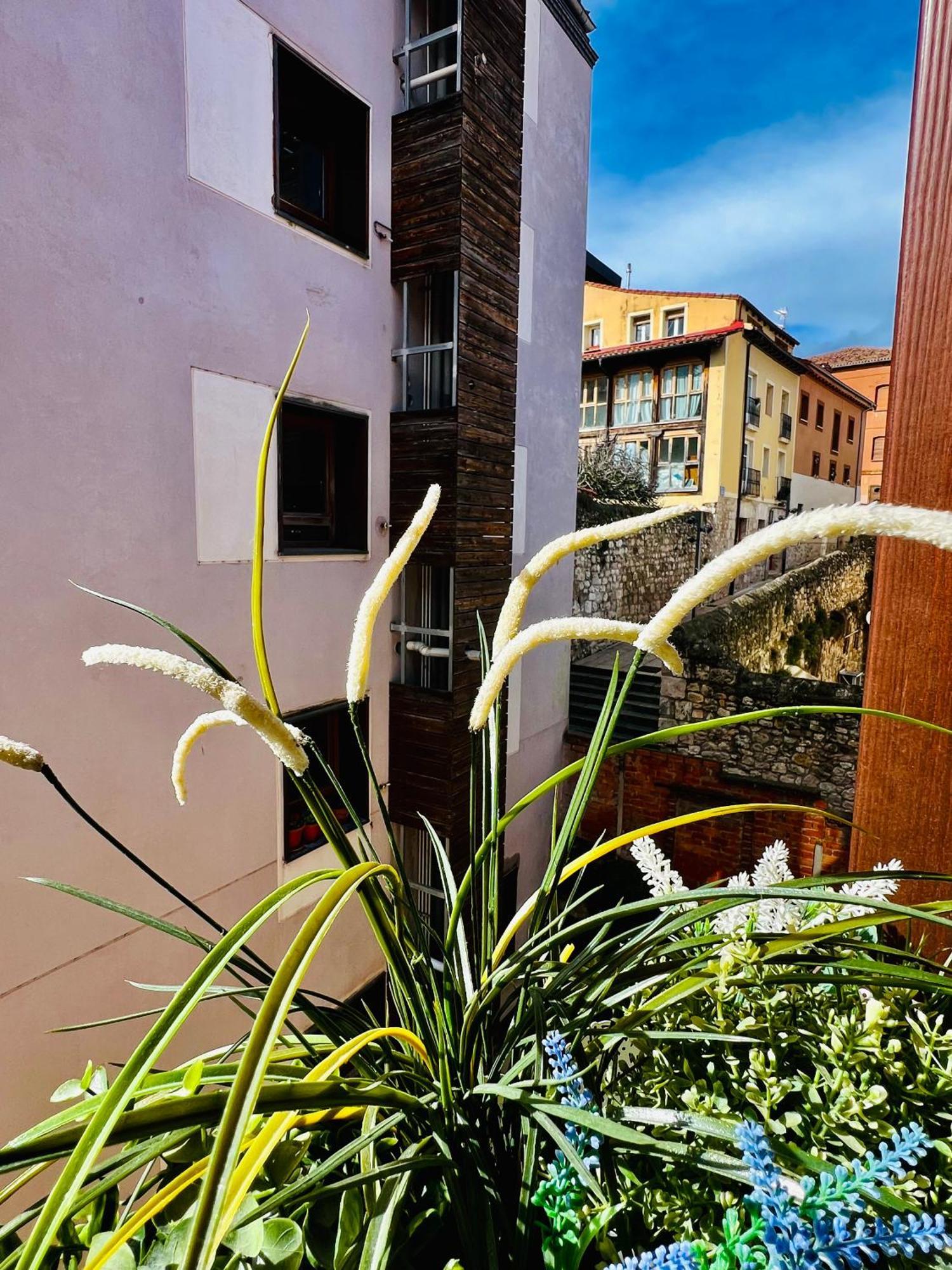 El Capricho De Claudia_ Apartamentos Burgos Catedral Екстер'єр фото